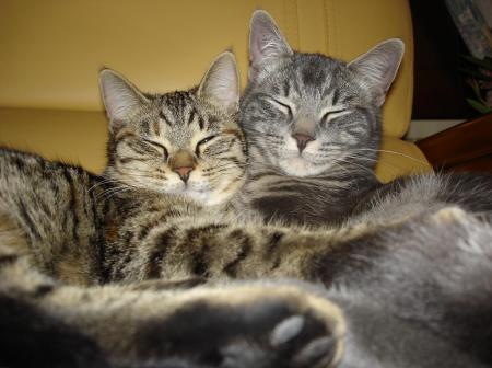 NOUS ON S'AIME