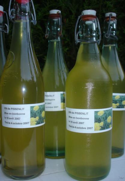 VIN de PISSENLIT