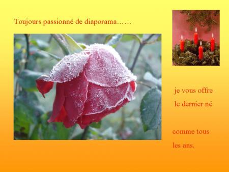 Mes voeux 2008 2