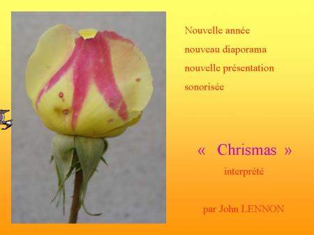 Mes voeux 2008 3